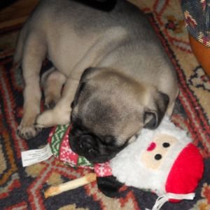 Meet your Posher, Stephen